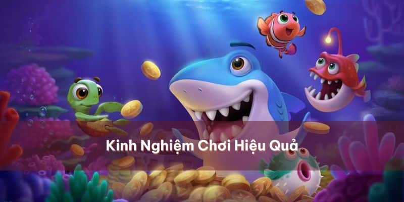 Bỏ túi những mẹo hay chinh phục ngư trường đầy ắp cá