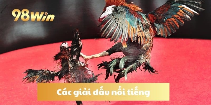 Các giải đấu nổi tiếng